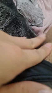 瑜珈老師秀2