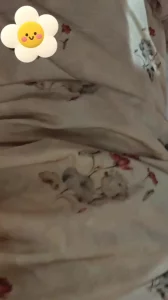 （男勿扰）操02母狗店主