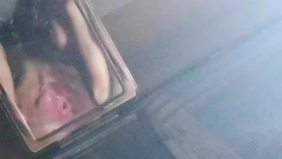 楚楚的小穴一张一合