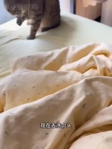 咯咯哒的一天vlog很火的