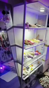 丹夫人系列之工作室