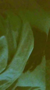 喜欢被后入的女友，一加速就哼哼唧唧，于是疯狂加速暴操