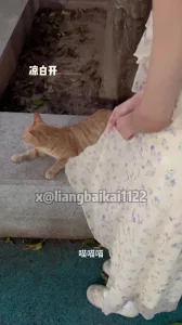 强推06碎花裙大学学妹part.1