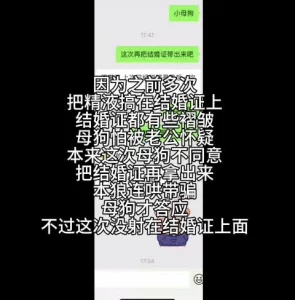 2399小游戏