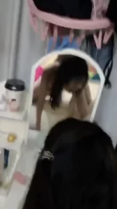 小伙操熟女内射1
