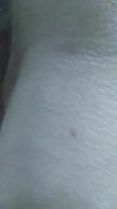 熟妇