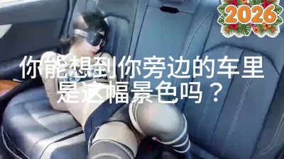 你能想象你旁边的车里是什么景色吗？