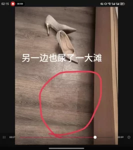 猛艹一小时，敏感高潮少妇最终章，黑丝情趣高跟，高潮喷尿（第一部）